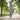Premium beschermhoes boog vrije arm parasol 260x60/86