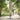 Premium beschermhoes middenstok parasol 250x64cm