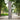 Premium beschermhoes middenstok parasol 250x64cm